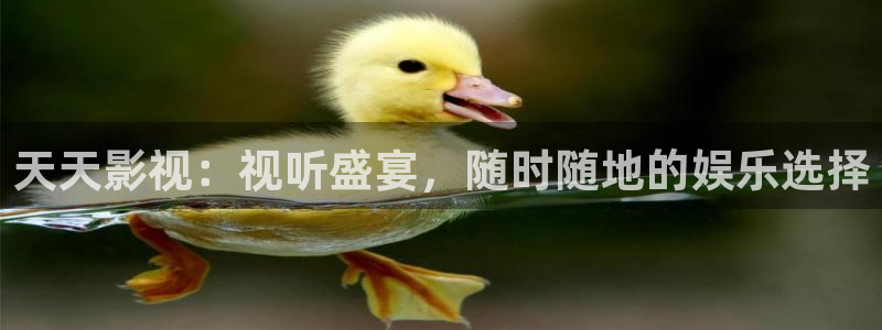 青丝影院电视剧更新时间：天天影视：视听盛宴，随时随地的娱乐选择