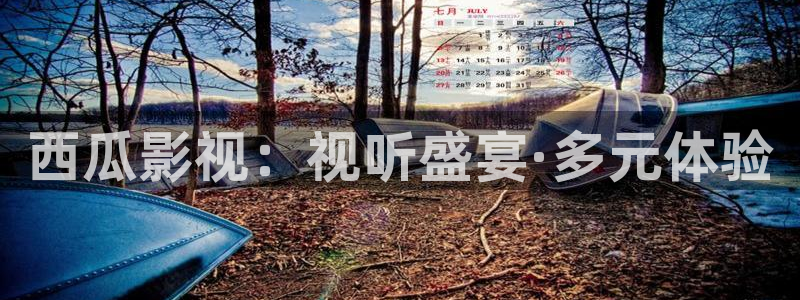 青丝电影完整版：西瓜影视：视听盛宴·多元体验