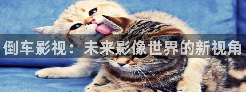 青丝影院在线电影视频