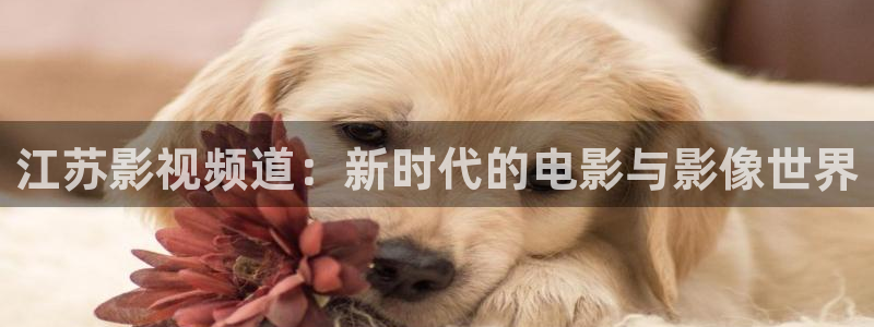 青丝影视在线观看：江苏影视频道：新时代的电影与影像世界