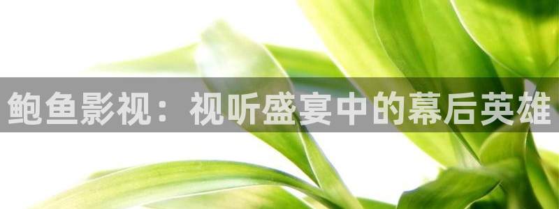 青丝影院免费观看电视剧高清