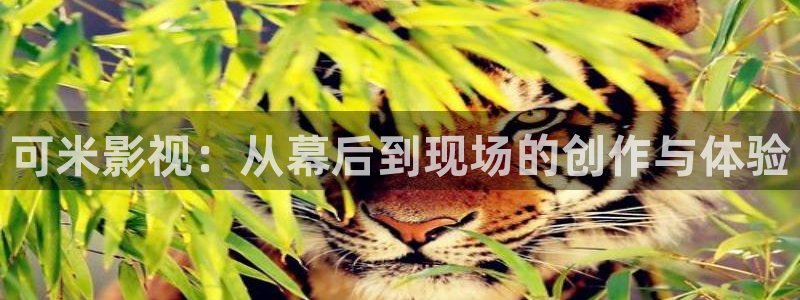 青丝影院免费观看电视剧高清在线播放