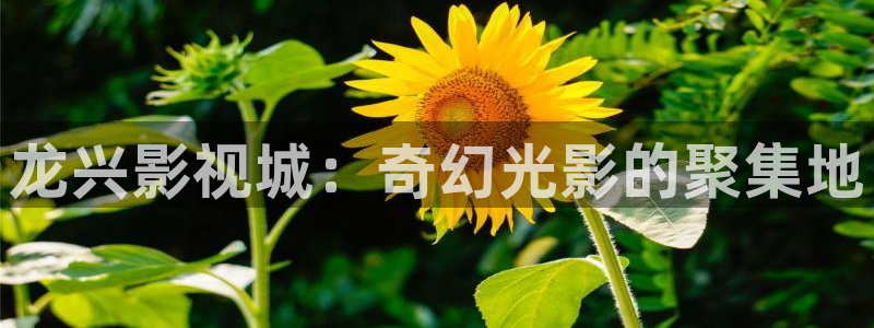 青丝影院在线免费观看